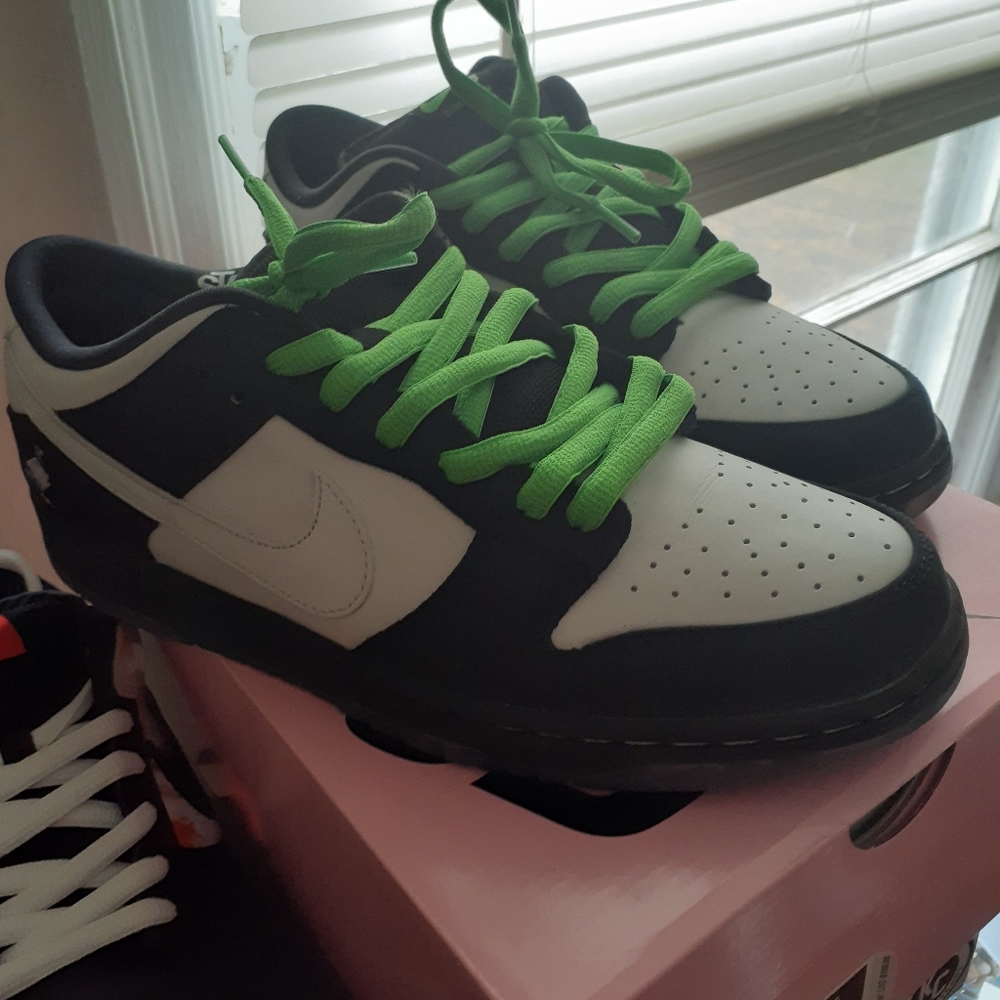 Nike Sb dunks Panda Pigeons